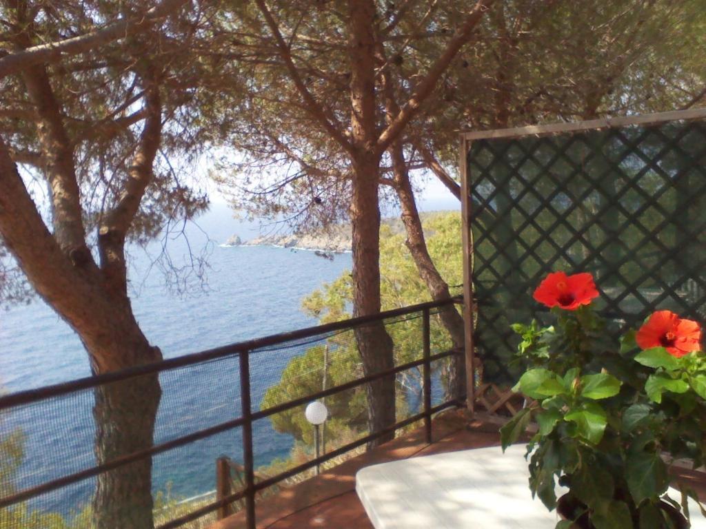 Residence La Calle Isola D'Elba Exterior foto